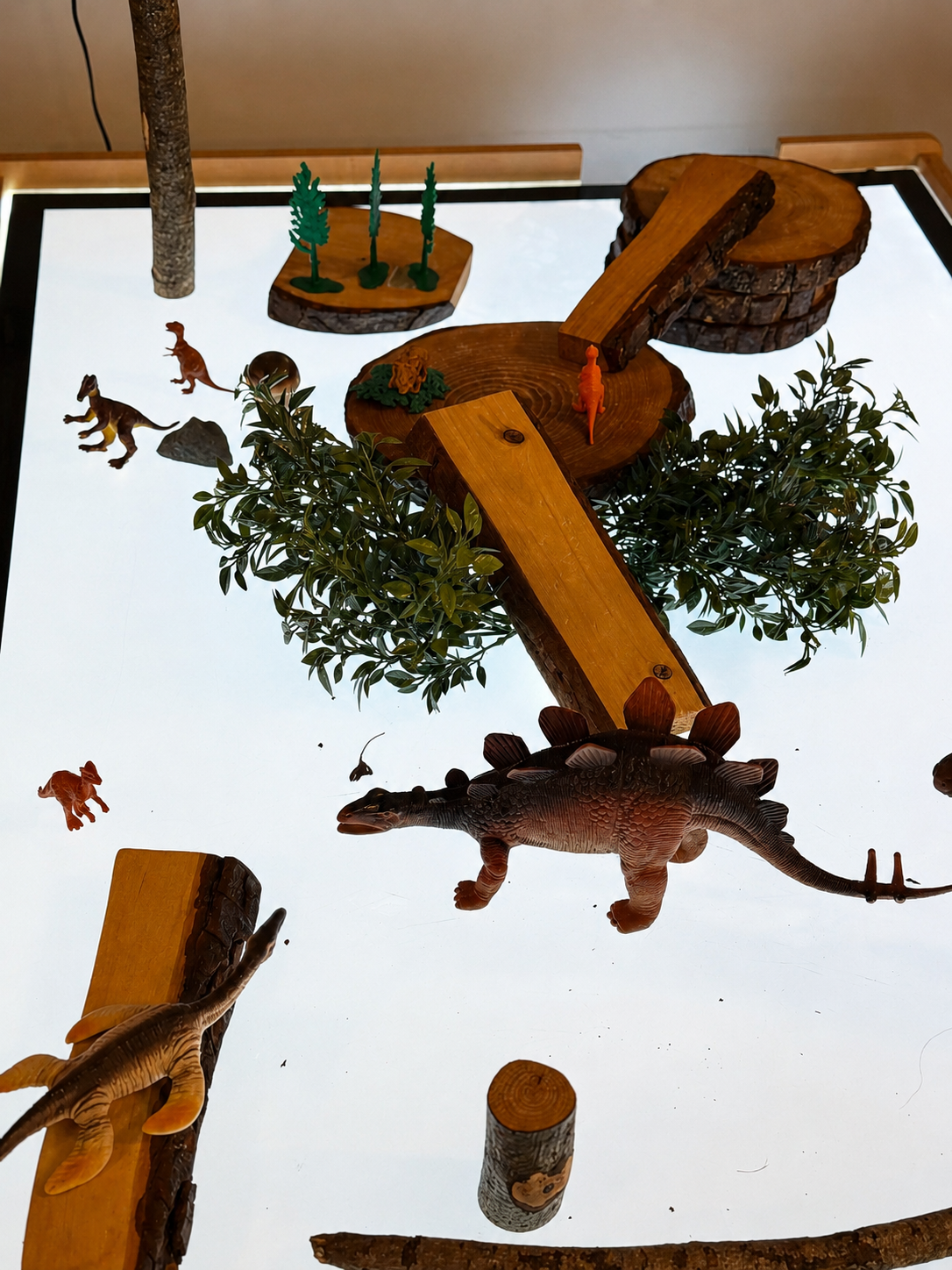 A loose parts area to study closely